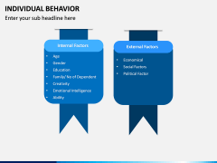 Individual Behavior PPT Slide 14