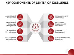 Center of Excellence PPT Slide 4