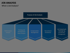 Job Analysis Animated Presentation - SketchBubble