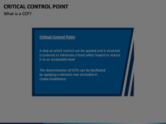 Critical Control Point PowerPoint and Google Slides Template - PPT Slides