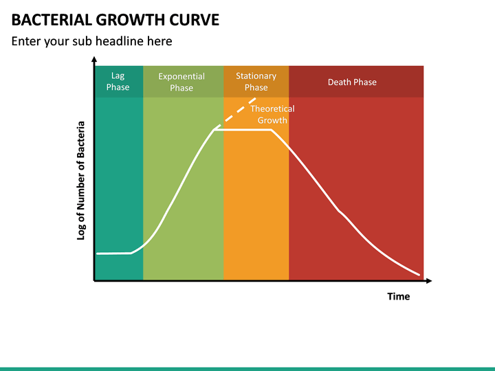 Bacterial Growth Curve PowerPoint Template | SketchBubble