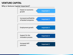 Venture Capital PPT Slide 11
