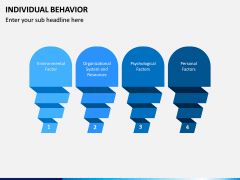 Individual Behavior PPT Slide 9