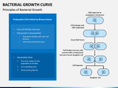 Bacterial Growth Curve PPT Slide 2