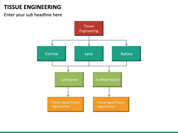 Tissue Engineering PowerPoint Template | SketchBubble