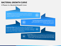 Bacterial Growth Curve PowerPoint And Google Slides Template - PPT Slides