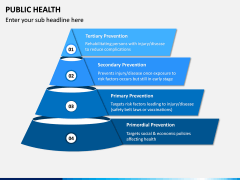 Public Health PPT Slide 16