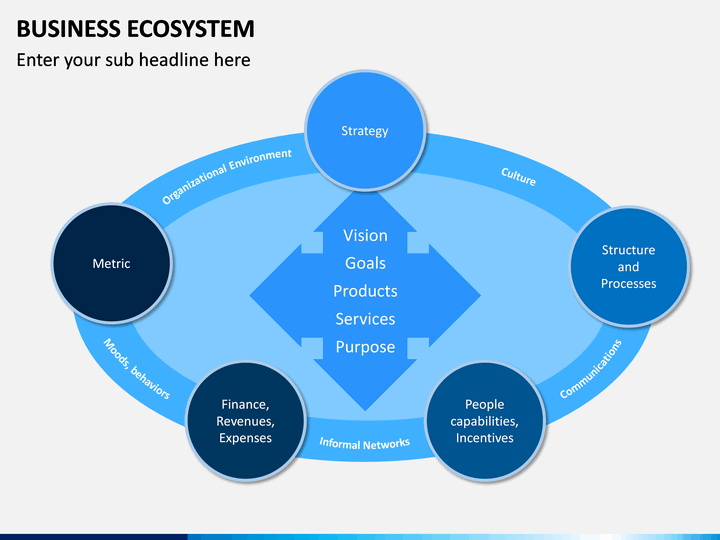 Цифровая экосистема тест. Экосистема бизнеса. Цифровая экосистема. Модель экосистемы университета. Визуализация экосистемы.