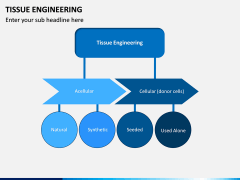Tissue Engineering PPT Slide 6