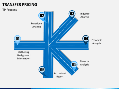 Transfer Pricing PPT Slide 10