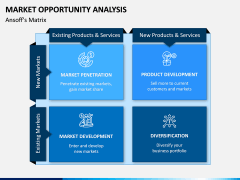Market Opportunity PPT Slide 10