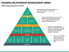 Business Relationship Management (BRM) PowerPoint Template | SketchBubble