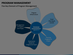 Program Management PowerPoint and Google Slides Template - PPT Slides