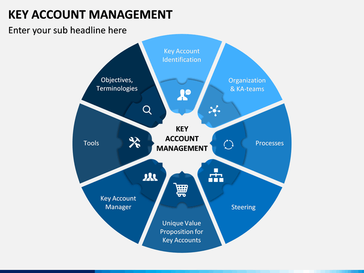 Key Account Management - Servitization Definition analysis