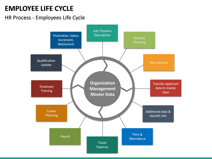 Employee Life Cycle Best Practices Ppt Example Ppt Images Gallery ...