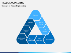 Tissue Engineering PPT Slide 3
