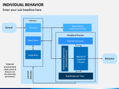Individual Behavior PPT Slide 13