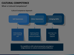 Cultural Competence Animated Presentation - SketchBubble