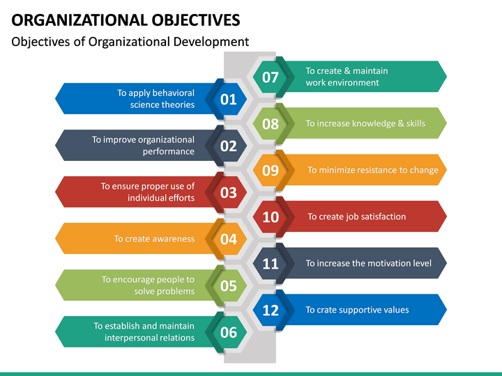 Organizational Objectives Examples