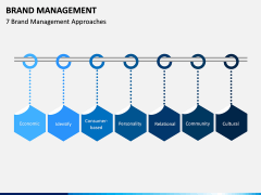 Brand Management PPT Slide 12