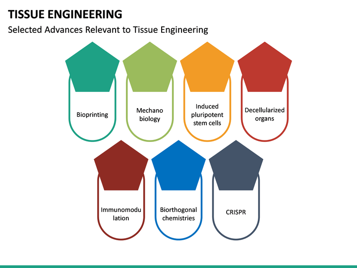 tissue-engineering-powerpoint-template-sketchbubble