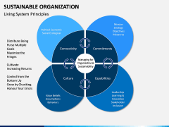 Sustainable Organization PPT Slide 8