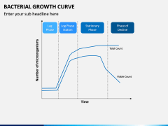 Bacterial Growth Curve PPT Slide 3