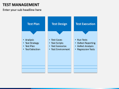 Test Management PPT slide 3