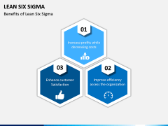 Lean Six Sigma PPT Slide 16