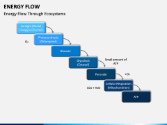 Energy Flow PPT Slide 10