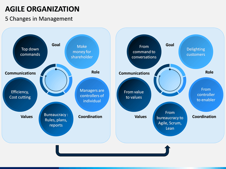 agile organisation