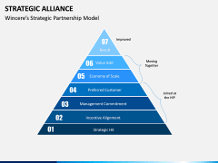 Strategic Alliance PPT Slide 12