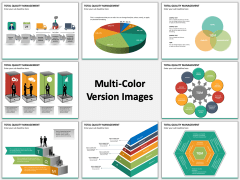 Total Quality Management Multicolor Combined