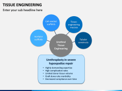 Tissue Engineering PPT Slide 15