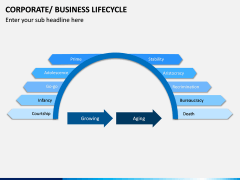 Business Lifecycle PPT Slide 7