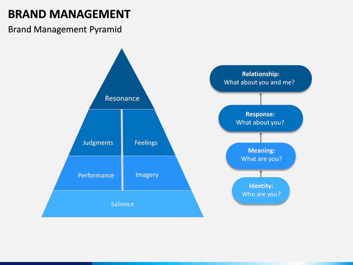 Brand Management PowerPoint and Google Slides Template - PPT Slides