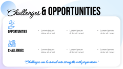 Career Overview PPT Slide 6