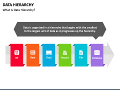 Data Hierarchy PPT Slide 1
