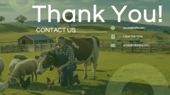 Animal Husbandry Presentation Theme PPT Slide 11