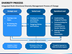 Diversity Process PPT Slide 2