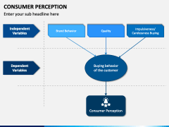 Consumer Perception PPT Slide 6