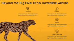 Safari Theme PPT Slide 7