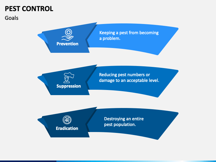 Pest Control PowerPoint and Google Slides Template - PPT Slides