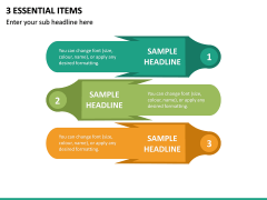 3 Essential Items PPT Slide 2