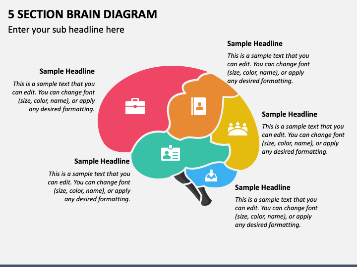 5 Section Brain Diagram PPT Slide 1