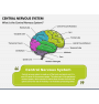 Sensory Systems PowerPoint Template - PPT Slides