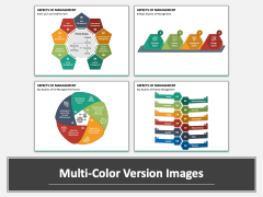 Aspects of Management Multicolor Combined