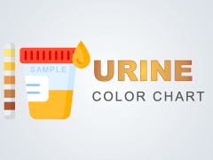 Urine Color Chart PPT Slide 1