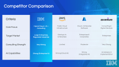 IBM Case Study PPT Slide 8