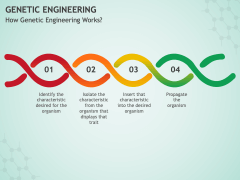 Genetic Engineering PowerPoint And Google Slides Template - PPT Slides